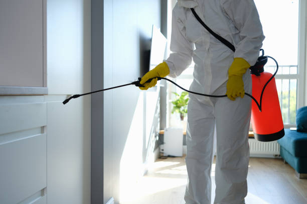 Environmental Consulting for Mold Prevention